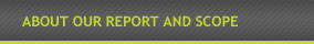 About Our Report and Scope