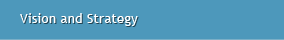 Vision and Strategy