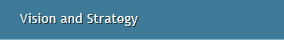 Vision and Strategy