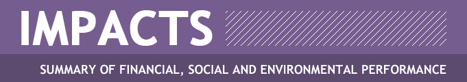 Summary of Financial Social and Environmental Performance