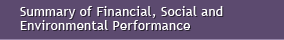 Summary of Financial Social and Environmental Performance